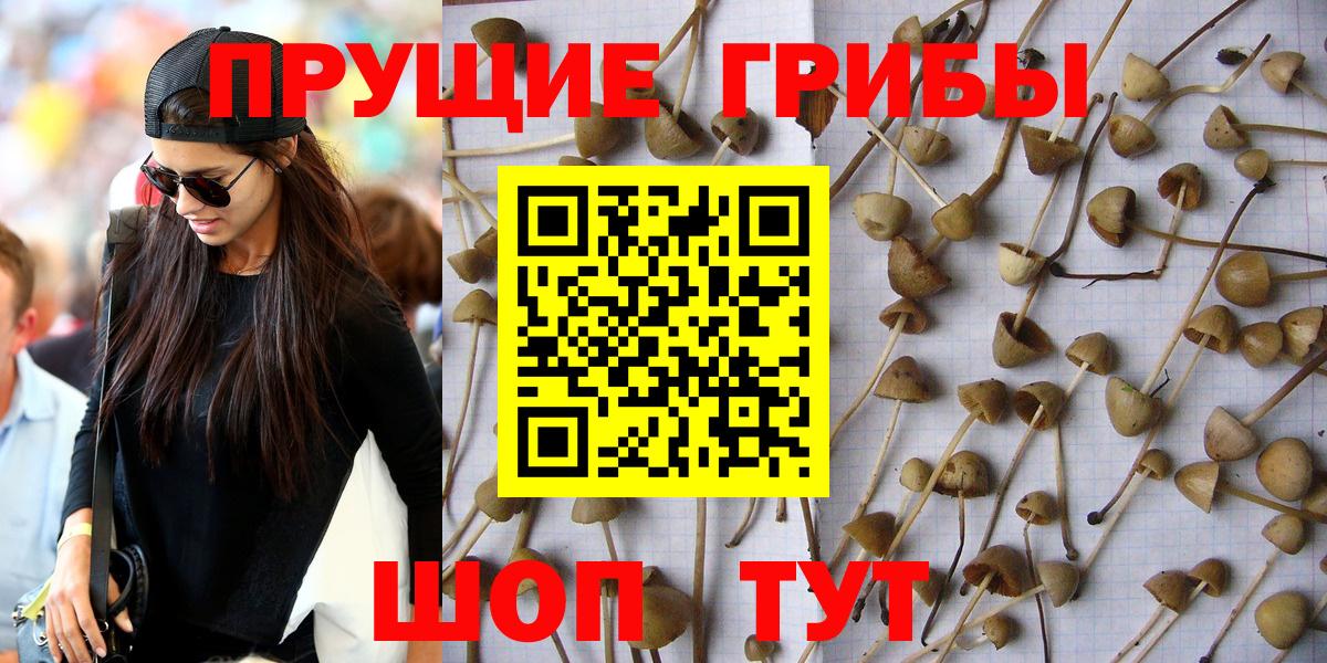 Галлюциногенные грибы прущие грибы  Псилоцибиновые грибы Magic Shrooms  Орехово-Зуево  Вход с VPN 