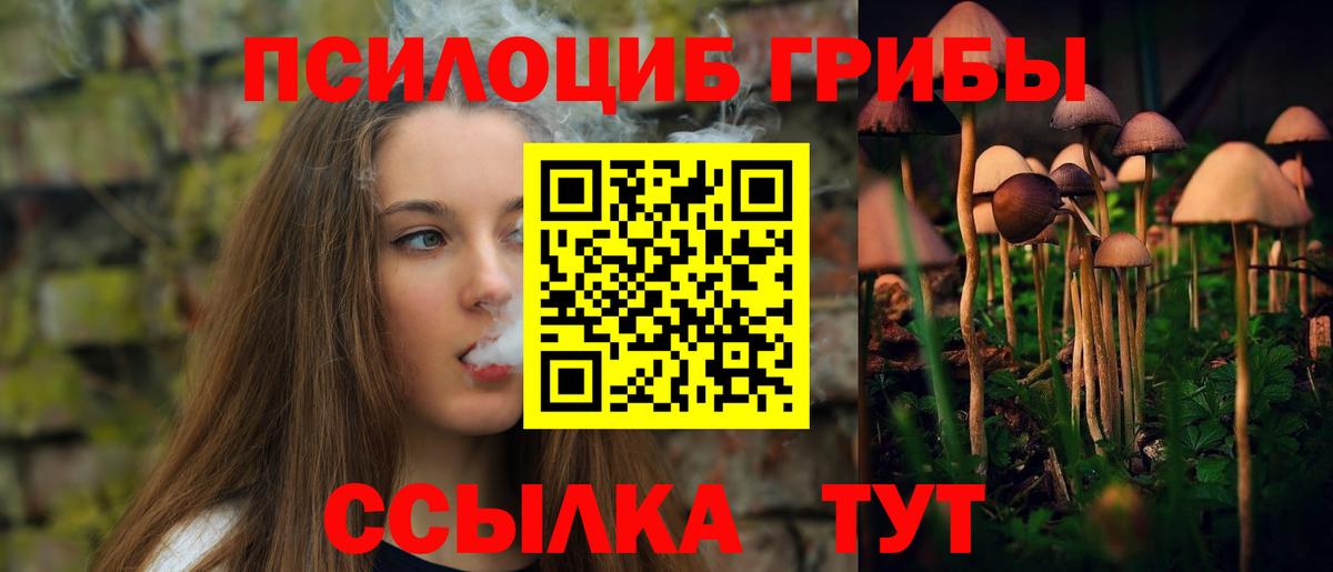 Псилоцибиновые грибы Psilocybine cubensis Орехово-Зуево